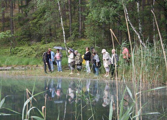 Grupa z Konarzyn poznaje gatunki charakterystyczne dla jezior lobeliowych.