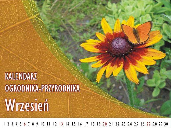Kalendarz ogrodnika-przyrodnika - Wrzesień grafika