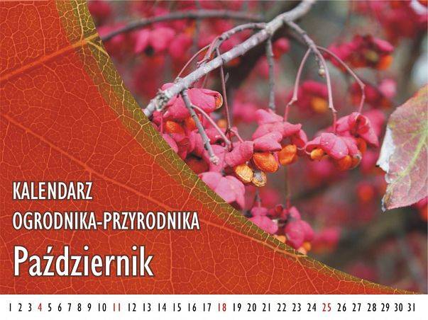 Kalendarz ogrodnika-przyrodnika - Październik grafika