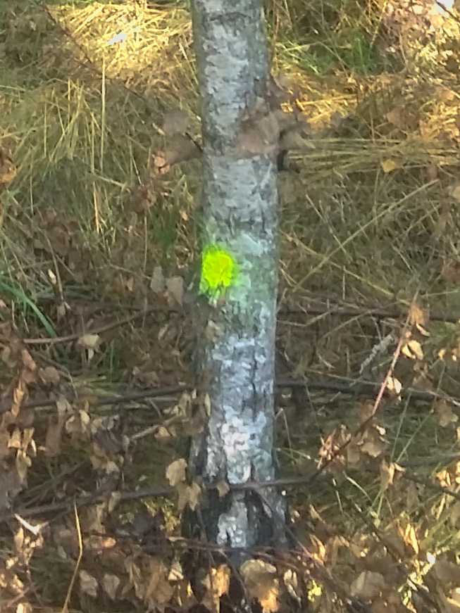 Oznakowanie punktu w terenie
