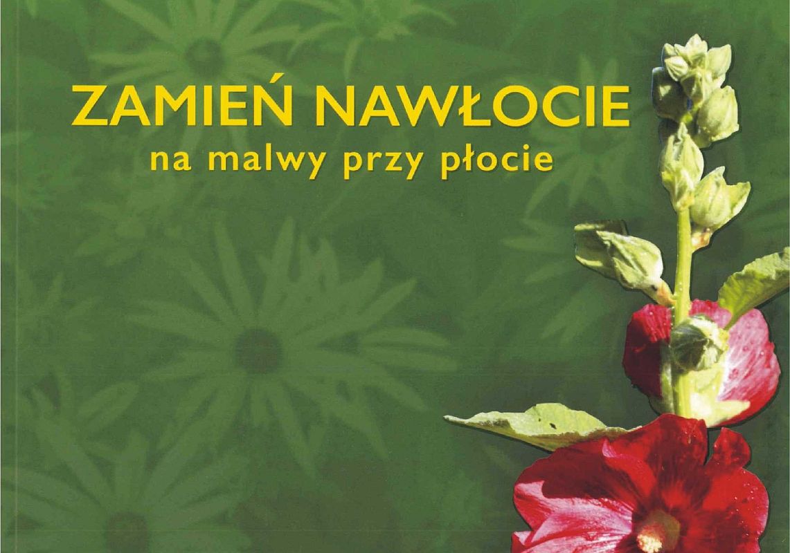 Grafika Zamień nawłocie na malwy przy płocie