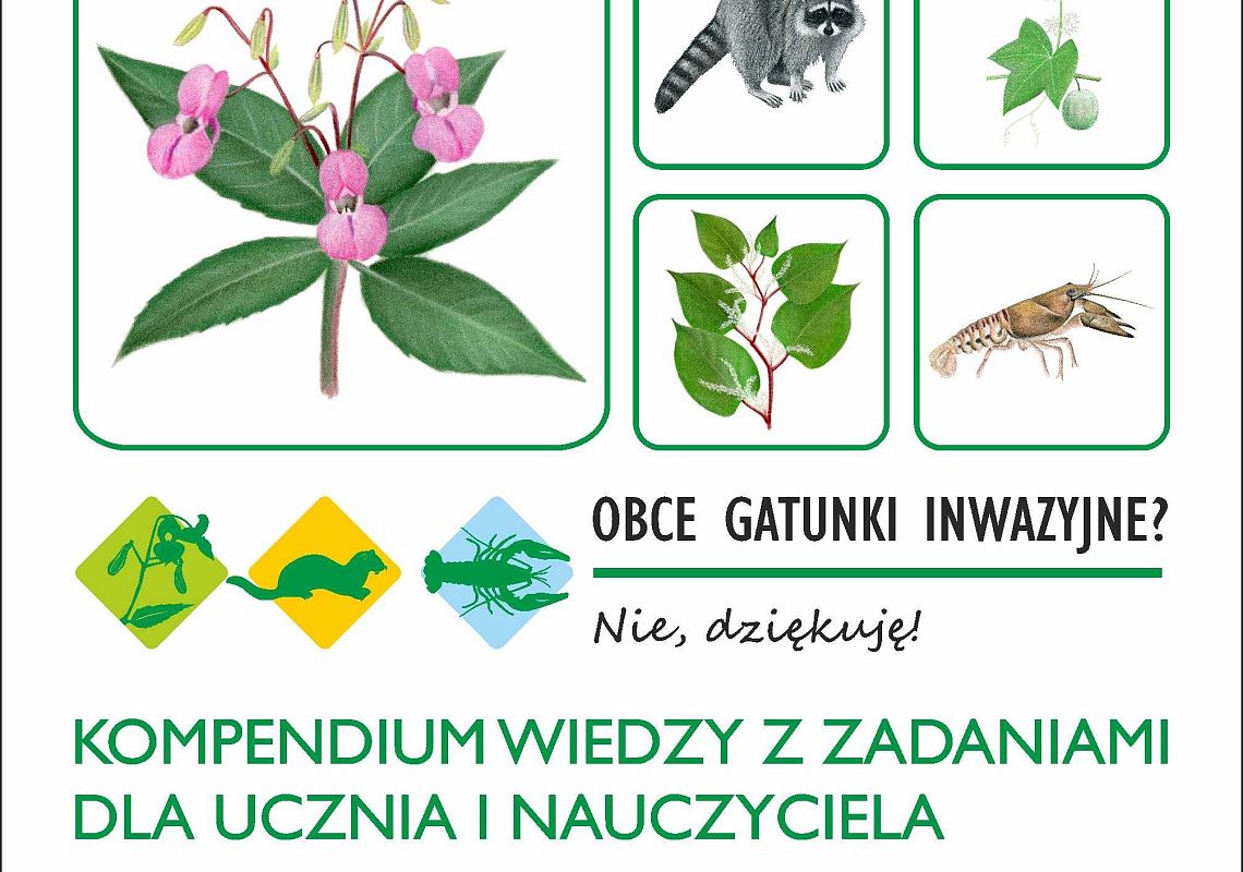Grafika Obce gatunki inwazyjne? Nie, dziękuję!