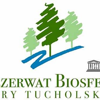 Grafika Logo Rezerwatu Biosfery Bory Tucholskie