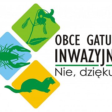 Grafika Zapraszamy na szkolenie poświęcone norce amerykańskiej