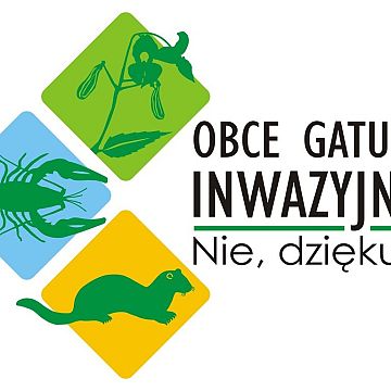 Grafika Zapraszamy do udziału w akcji edukacyjnej pt.: "Obce gatunki inwazyjne? Nie, dziękuję!"