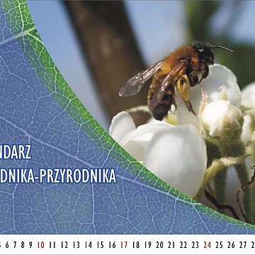 Grafika Kalendarz ogrodnika-przyrodnika - Maj