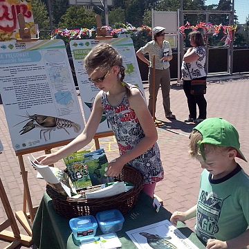 Grafika Promocja akcji edukacyjnej „Obce gatunki inwazyjne? Nie, dziękuje!” na festynach ekologicznych.
