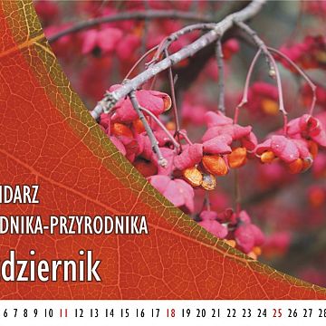Grafika Kalendarz ogrodnika-przyrodnika - Październik