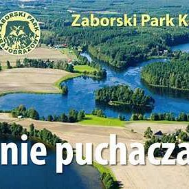 Grafika Seminarium z okazji 20-lecia ZPK