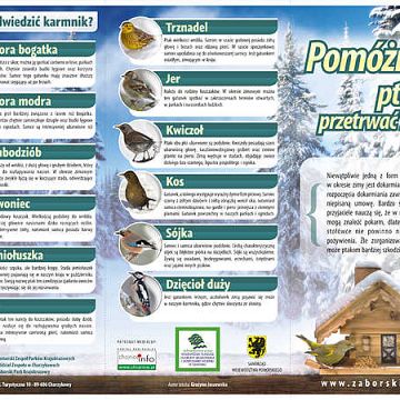 Grafika Pomóżmy ptakom przetrwać zimę
