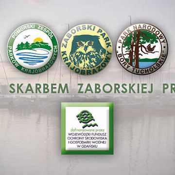 Grafika Konkurs o skarbach zaborskiej przyrody