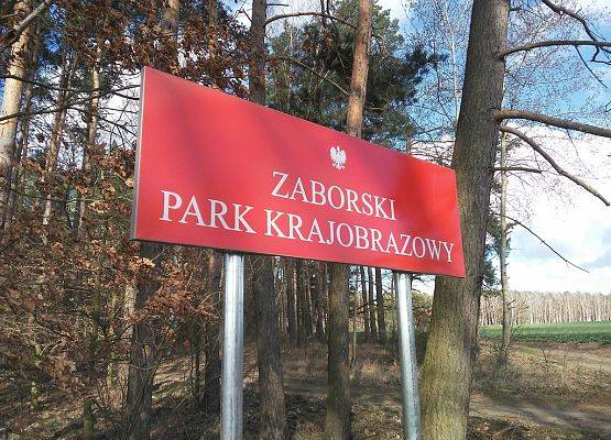 Odtworzono oznakowanie granic Parku zgodnie ze wzorem urzędowym – łącznie w 20. miejscach