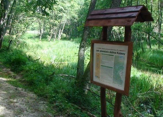Ścieżka edukacyjna „Dolina Kulawy” Zdjęcie przedstawia drewnianą tablicę stojącą na skraju ścieżki edukacyjnej. W tle płynąca rzeka i las.