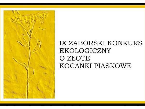 IX Zaborski Konkurs Ekologiczny o Złote Kocanki Piaskowe grafika