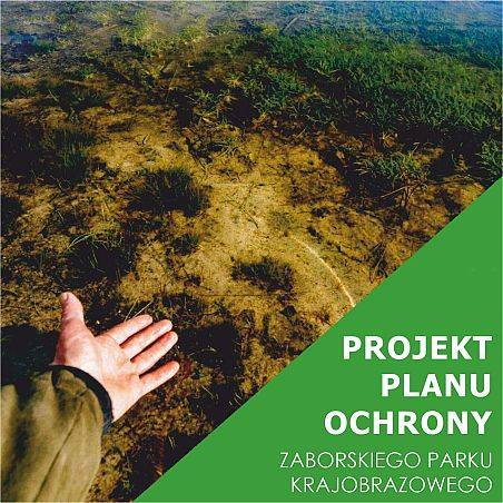 Informacja o publicznym wyłożeniu projektu Planu ochrony dla Zaborskiego Parku Krajobrazowego grafika