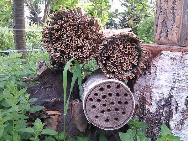 Dobra praktyka ogrodnika-przyrodnika. Schrony dla pszczół. grafika