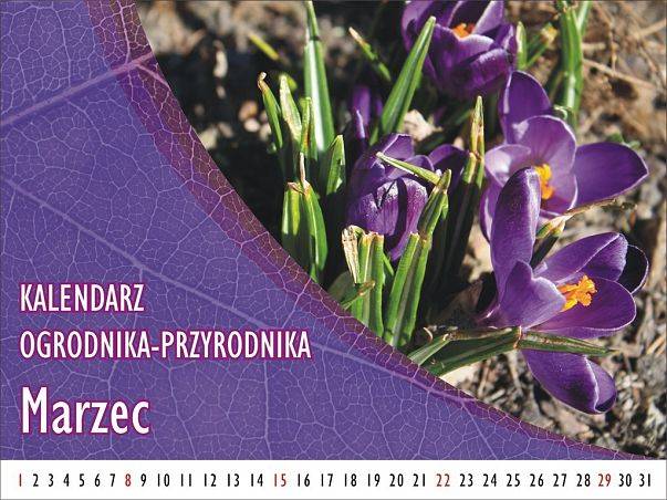 Kalendarz ogrodnika-przyrodnika - Marzec grafika