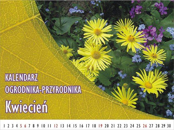 Kalendarz ogrodnika-przyrodnika - Kwiecień grafika