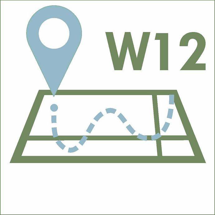 W12 grafika
