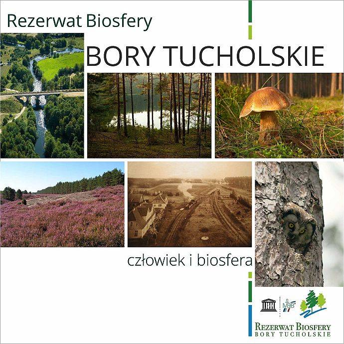 Rezerwat Biosfery Bory Tucholskie grafika