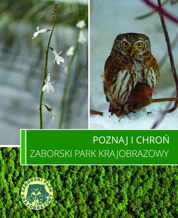 Okładka: Poznaj i Chroń Zaborski Park Krajobrazowy - widok książki